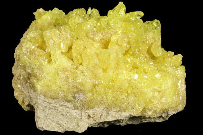 Lemon-Yellow Sulfur Crystals on Matrix - Bolivia #66292